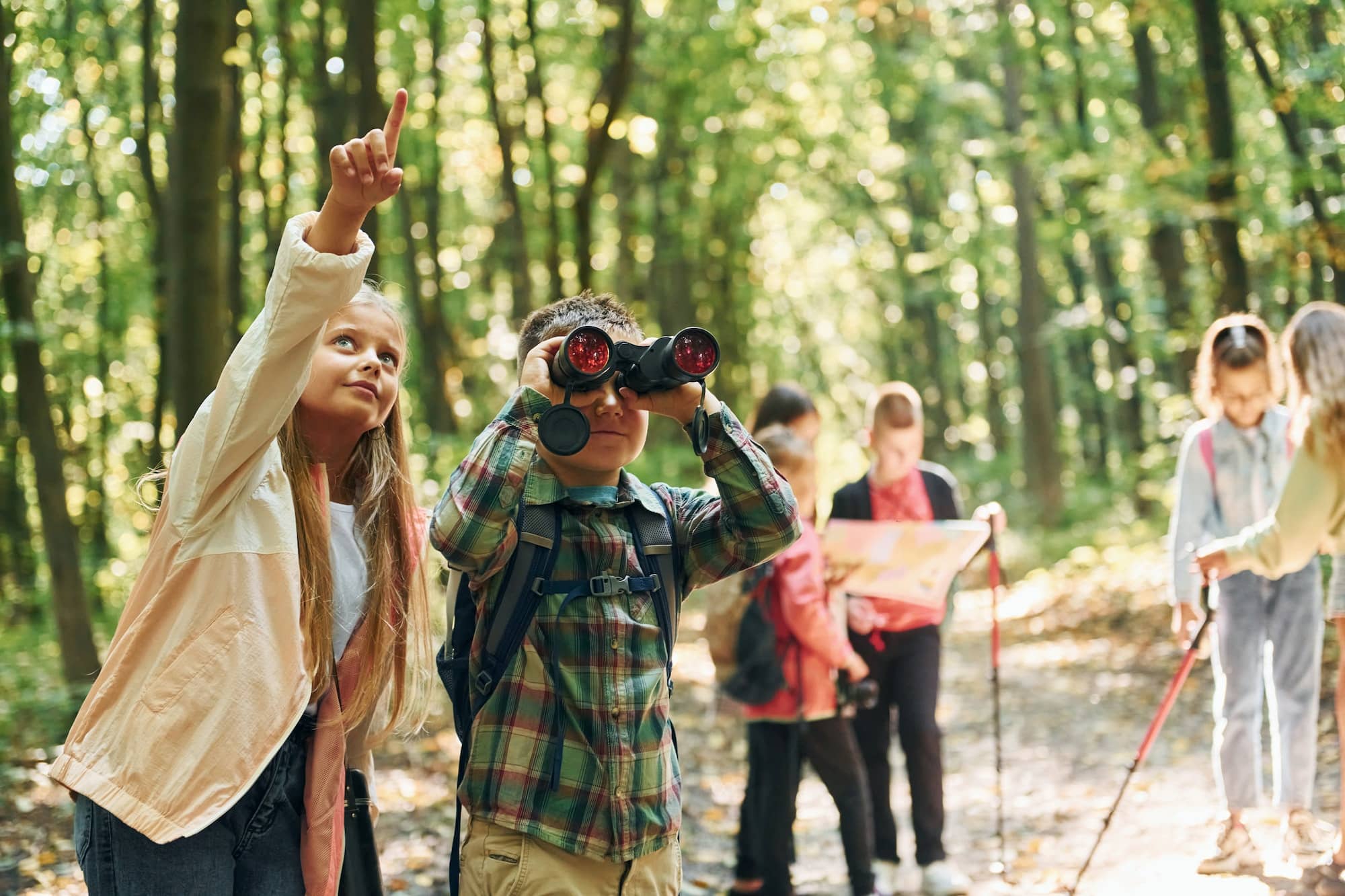 Conception of tourism. Kids in green forest at summer daytime together